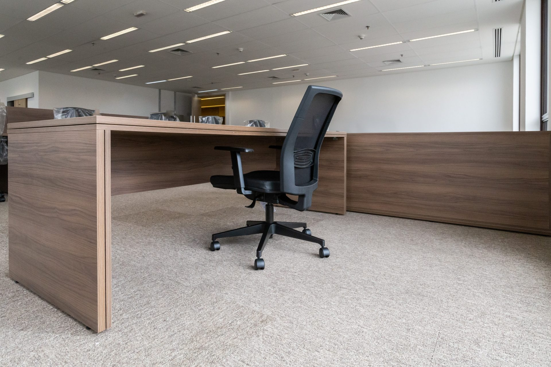 Corsage - Imagem Destaque